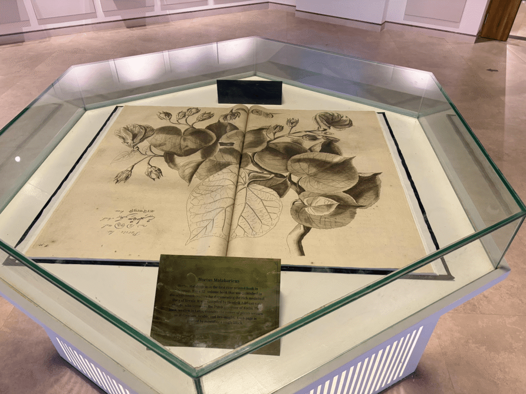 Hortus Malabaricus Display 